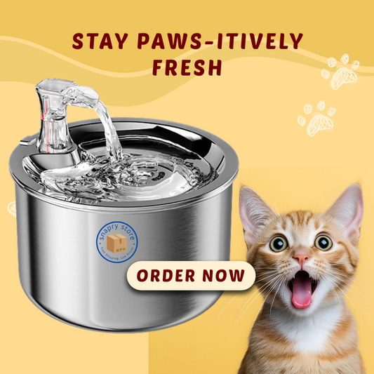 Stainless Steel Automatic Pet Water Fountain – 2L Cat & Dog Water Dispenser with Smart Sensor & Optional Heater